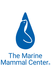 The Marine Mammal Center